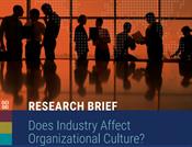 Does industry affect organizational culture