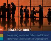 Measuring normative beliefs and shared behavioral expectations